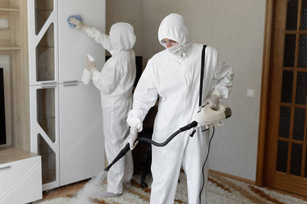 24/7 Emergency Odor Removal experts in Bridgeport, PA